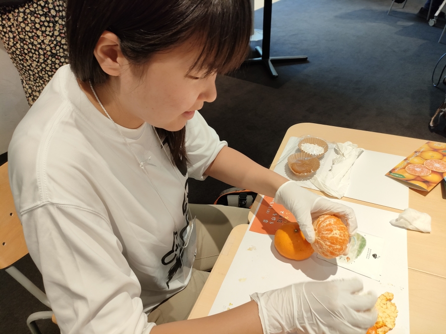 三重テラス みえみかん部・スイーツ部コラボ企画「三重の旬のカラマンダリンで大福を作る会」-スイーツ部 | 部活動