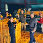 ～マニアが語るDEEPな三重～ 三重レペゼン29 vol.5(番外編)『近代建築マニア✕博物館マニア』 部活動