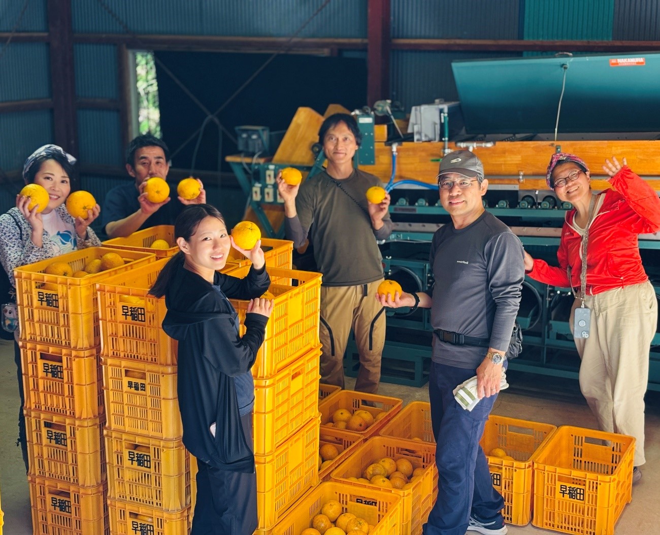 第5回活動「尾鷲に甘夏収穫へ」ver.2 部活動